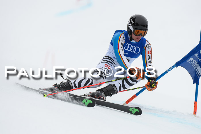 FIS Riesenslalom, Damen + Herren, Oberjoch, 15.02.2018