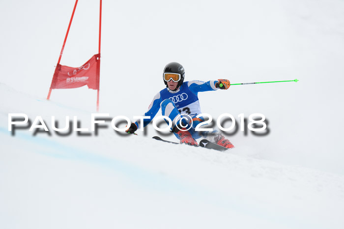 FIS Riesenslalom, Damen + Herren, Oberjoch, 15.02.2018
