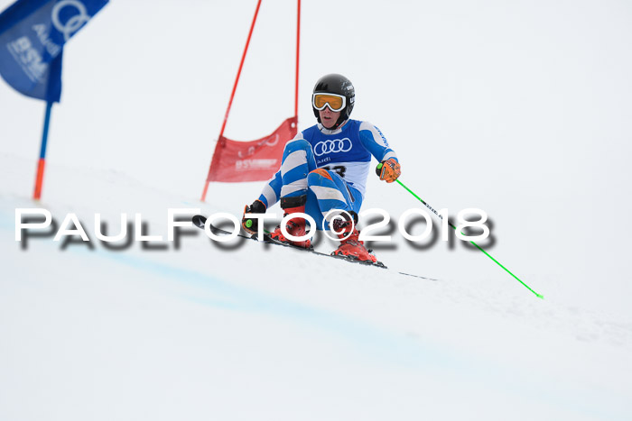 FIS Riesenslalom, Damen + Herren, Oberjoch, 15.02.2018