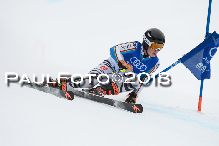 FIS Riesenslalom, Damen + Herren, Oberjoch, 15.02.2018