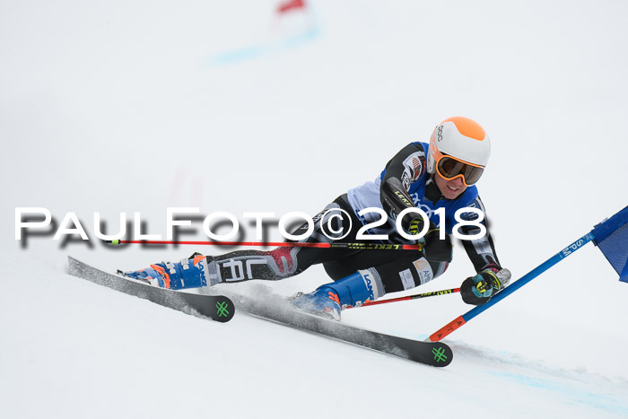 FIS Riesenslalom, Damen + Herren, Oberjoch, 15.02.2018