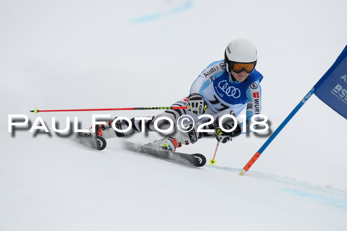 FIS Riesenslalom, Damen + Herren, Oberjoch, 15.02.2018
