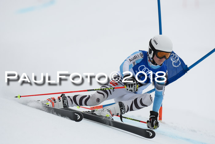 FIS Riesenslalom, Damen + Herren, Oberjoch, 15.02.2018