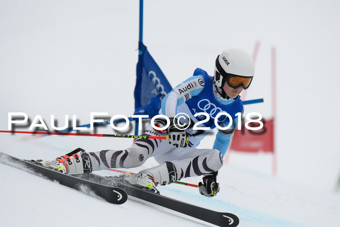 FIS Riesenslalom, Damen + Herren, Oberjoch, 15.02.2018