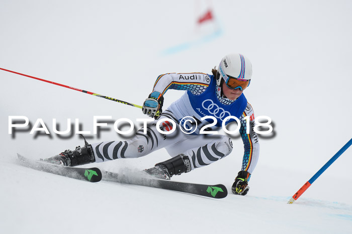 FIS Riesenslalom, Damen + Herren, Oberjoch, 15.02.2018