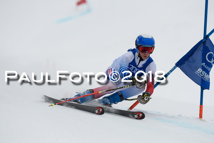 FIS Riesenslalom, Damen + Herren, Oberjoch, 15.02.2018