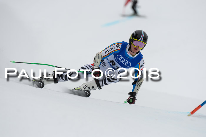 FIS Riesenslalom, Damen + Herren, Oberjoch, 15.02.2018