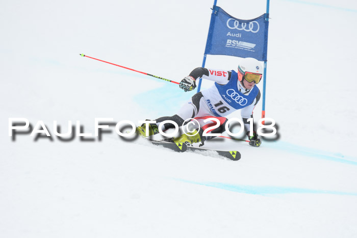 FIS Riesenslalom, Damen + Herren, Oberjoch, 15.02.2018