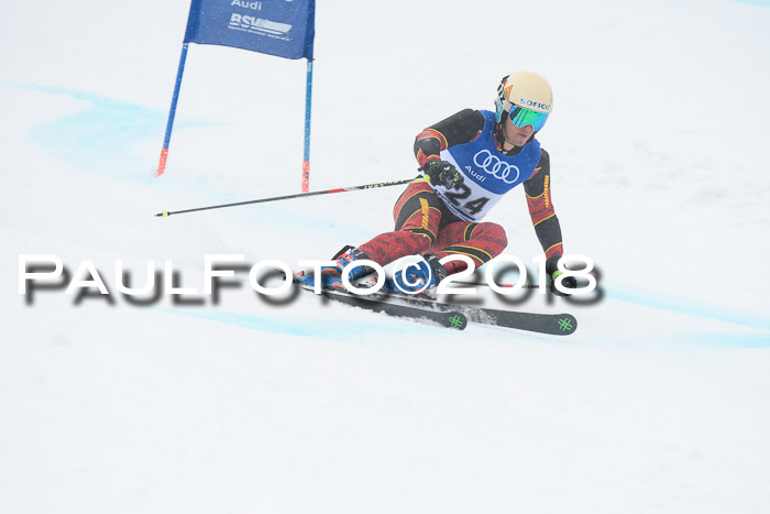 FIS Riesenslalom, Damen + Herren, Oberjoch, 15.02.2018