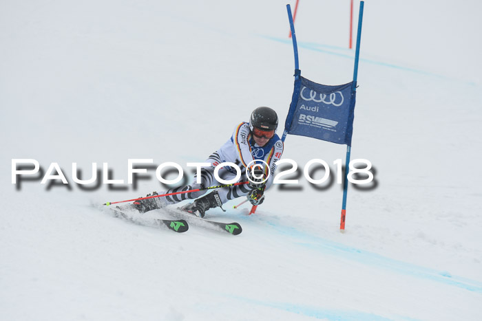 FIS Riesenslalom, Damen + Herren, Oberjoch, 15.02.2018