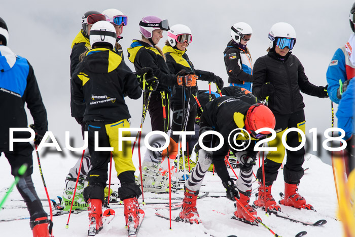 Nebelbilder U14 + U16