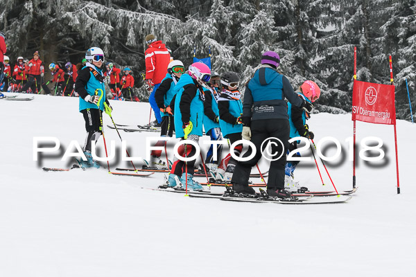 3. Ziener Cup RS