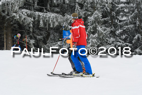 3. Ziener Cup RS