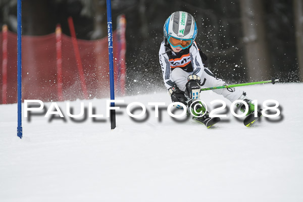 3. Ziener Cup RS