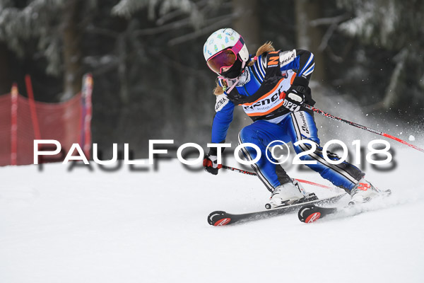 3. Ziener Cup RS