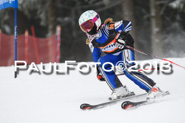 3. Ziener Cup RS