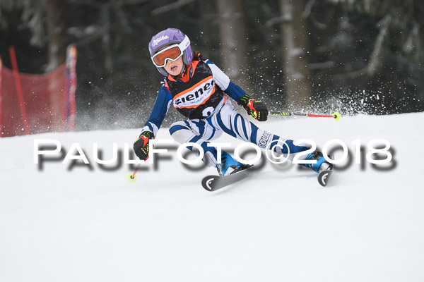 3. Ziener Cup RS