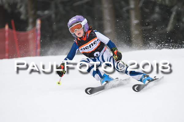 3. Ziener Cup RS