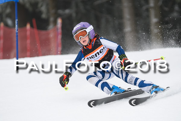 3. Ziener Cup RS