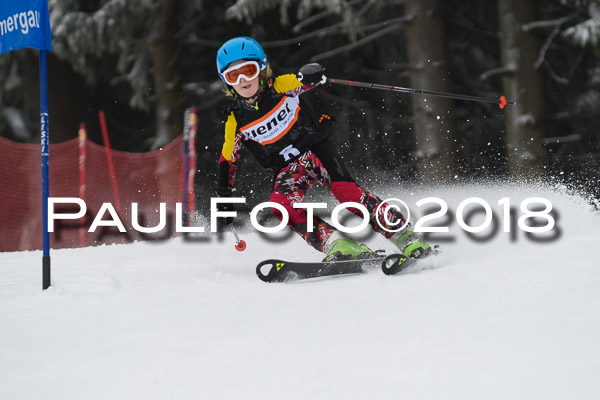 3. Ziener Cup RS