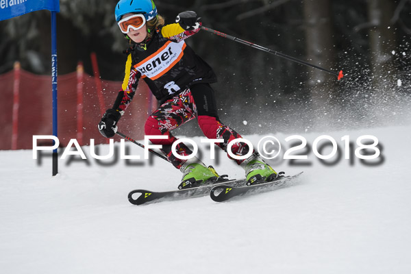 3. Ziener Cup RS