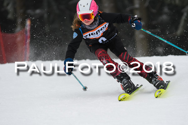 3. Ziener Cup RS