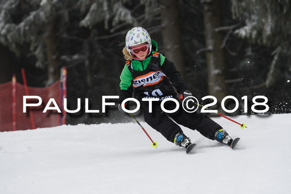 3. Ziener Cup RS