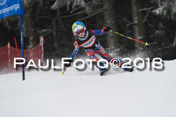 3. Ziener Cup RS