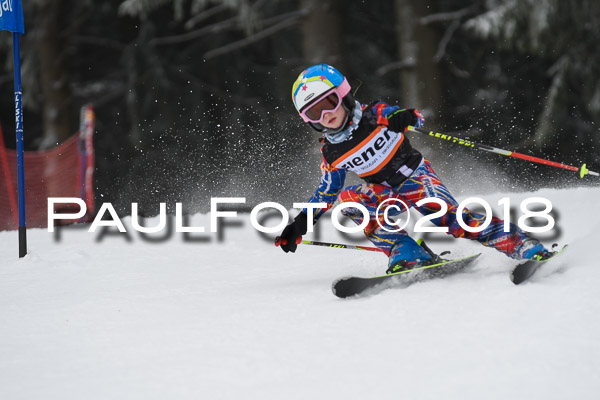3. Ziener Cup RS