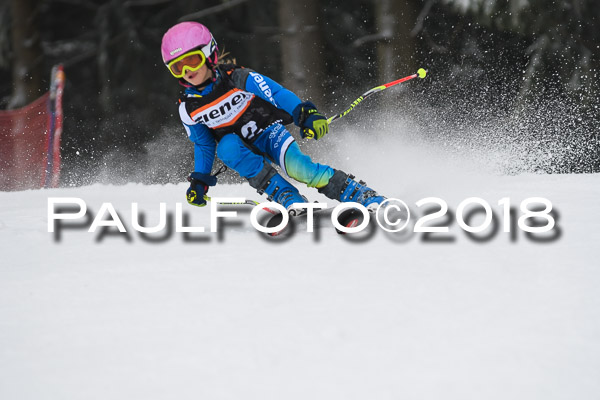 3. Ziener Cup RS