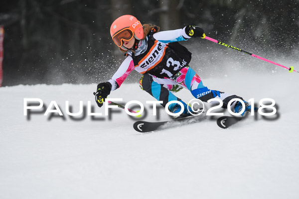3. Ziener Cup RS
