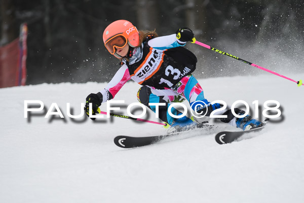 3. Ziener Cup RS