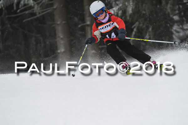 3. Ziener Cup RS
