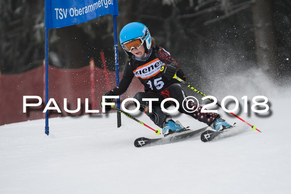 3. Ziener Cup RS