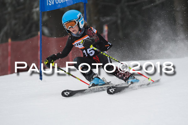 3. Ziener Cup RS