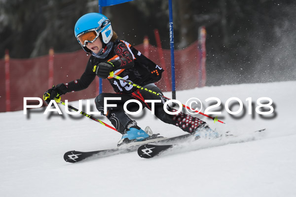 3. Ziener Cup RS