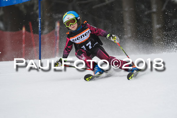 3. Ziener Cup RS