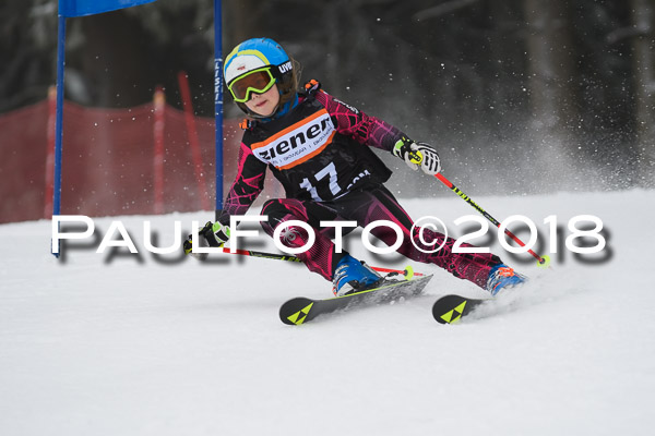 3. Ziener Cup RS