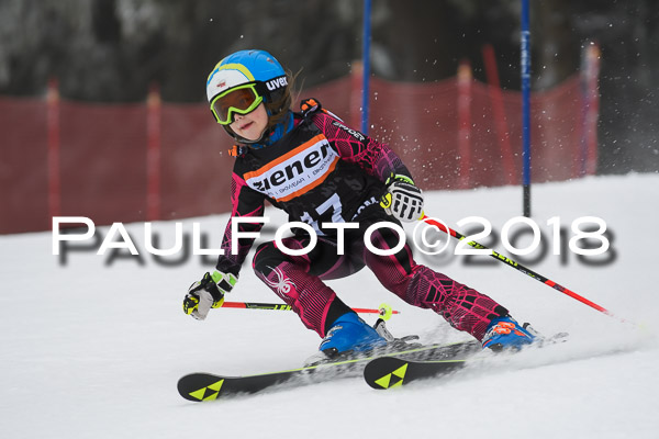 3. Ziener Cup RS