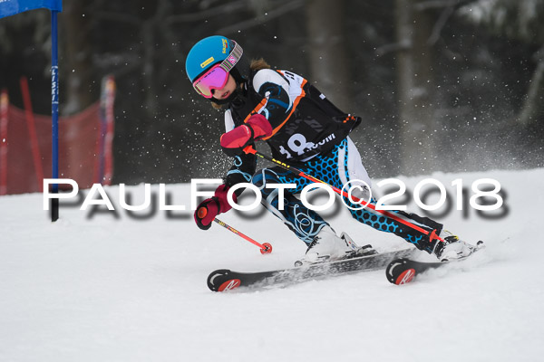 3. Ziener Cup RS