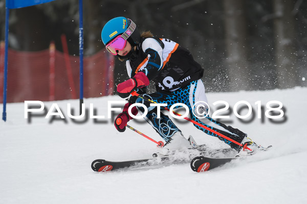 3. Ziener Cup RS