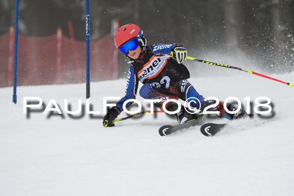 3. Ziener Cup RS
