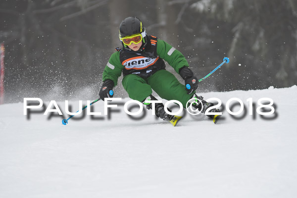 3. Ziener Cup RS