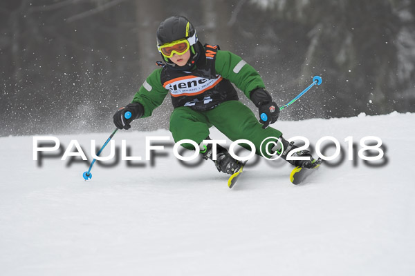 3. Ziener Cup RS