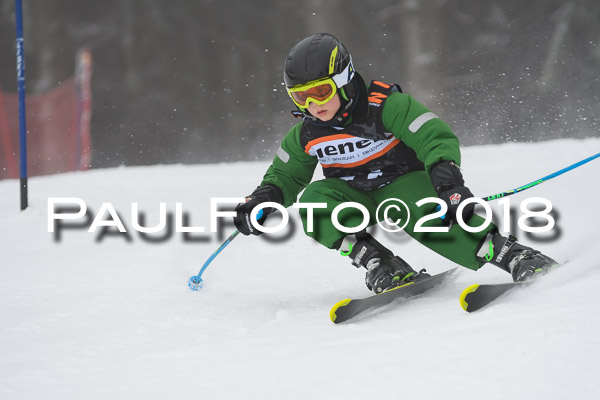 3. Ziener Cup RS