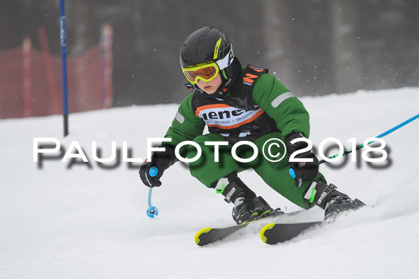 3. Ziener Cup RS