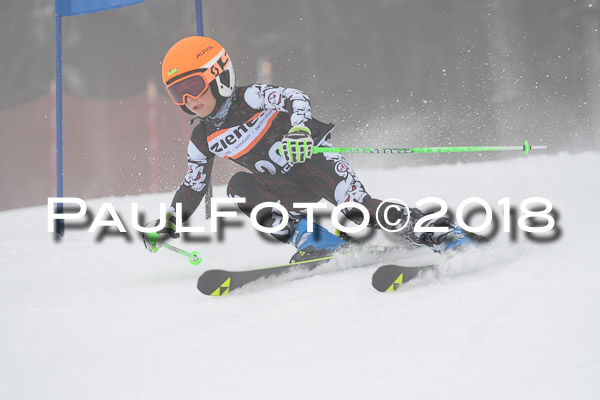 3. Ziener Cup RS