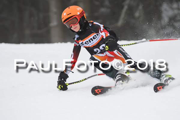 3. Ziener Cup RS