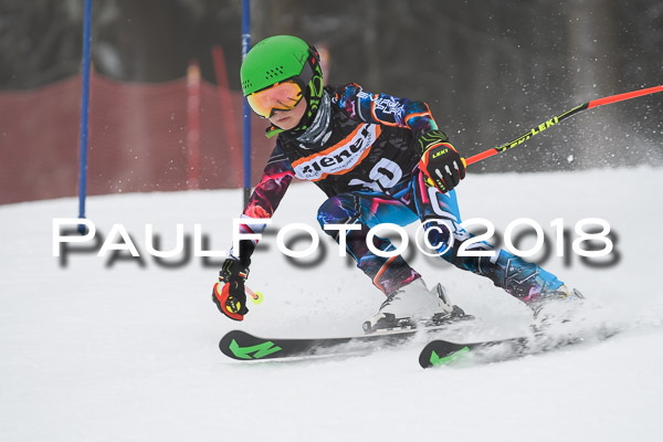 3. Ziener Cup RS