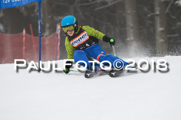 3. Ziener Cup RS
